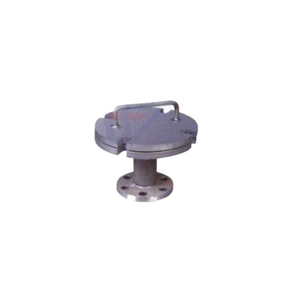 International shore connection